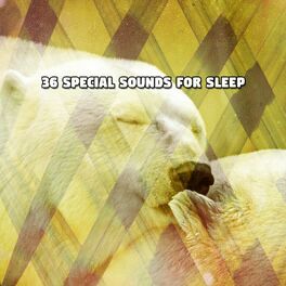 Album cover of 36 Special Sounds For Sleep
