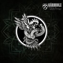 Album cover of Herz & Verstand