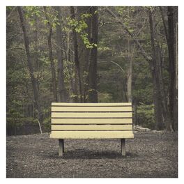 Album cover of The Hands That Thieve