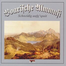 Album cover of Schneidig aufg'spuit