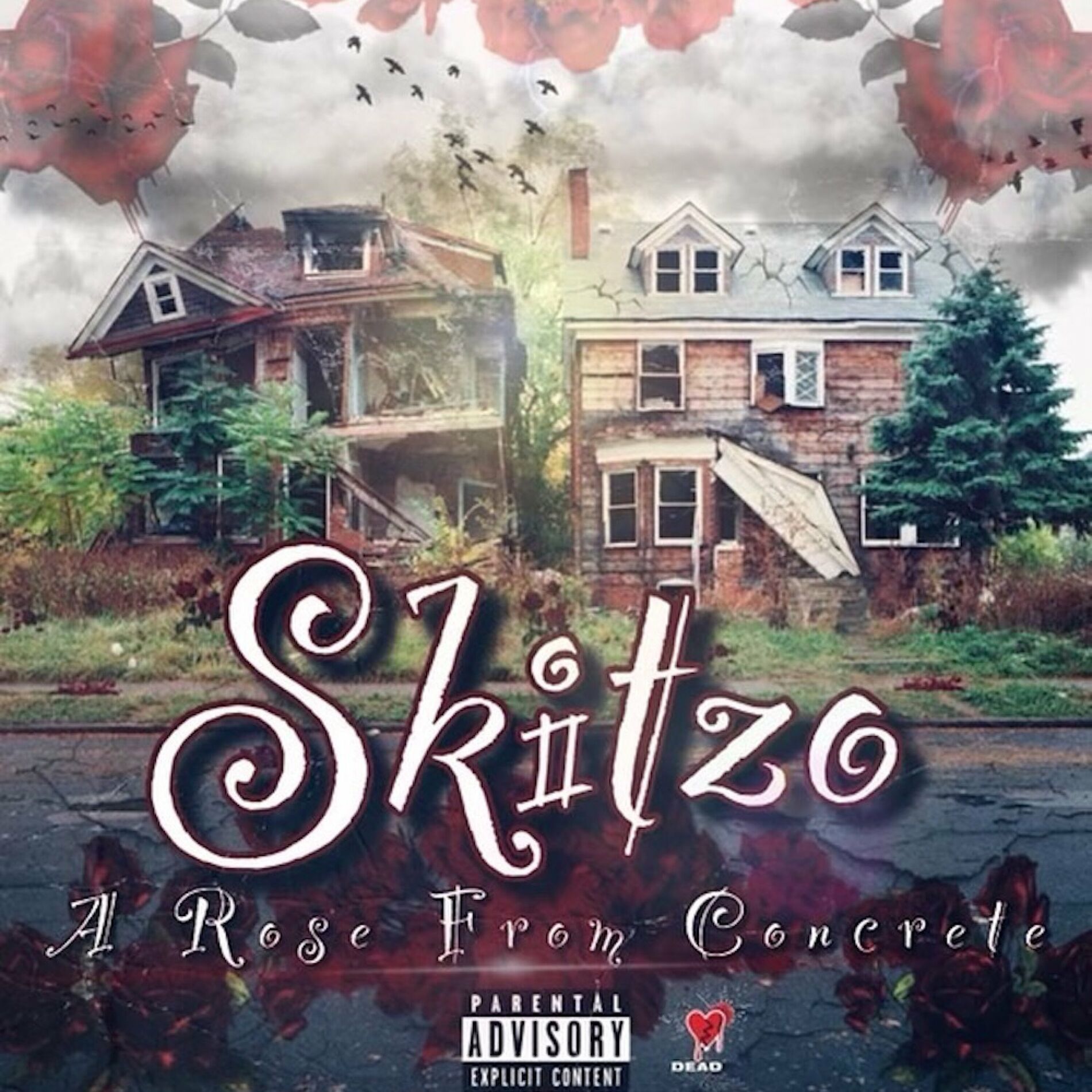 Skitzo - A Rose From Concrete: тексты и песни | Deezer