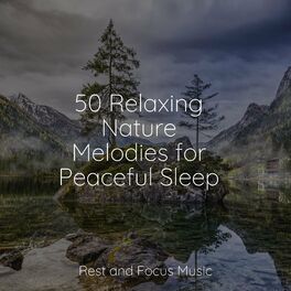 Album cover of 50 Relaxing Nature Melodies for Peaceful Sleep