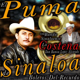 verano debate Descartar El Puma De Sinaloa: albums, songs, playlists | Listen on Deezer