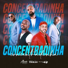 Album cover of Concentradinha