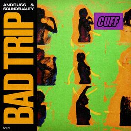 Album cover of Bad Trip (Radio Edit)