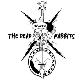 The Dead Rabbits Follow Me Up To Carlow Lyrics And Songs Deezer