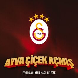 Album cover of Ayva Çiçek Açmış (Fener Sami Yen'e Nasıl Gelecek)