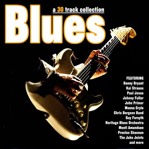 Various Artists - Blues - A 30 Track Collection: lyrics and songs 