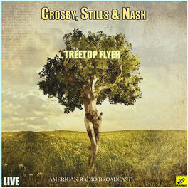 Album cover of Treetop Flyer (Live)
