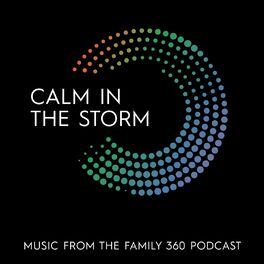 Album cover of Calm in the Storm