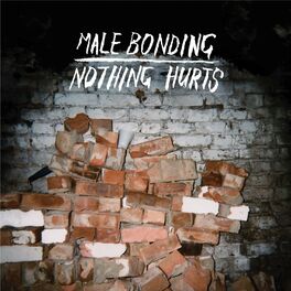 Album cover of Nothing Hurts