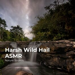 Album cover of Harsh Wild Hail ASMR