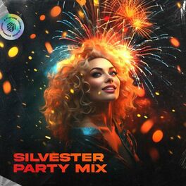 Album cover of Silvester Party Mix