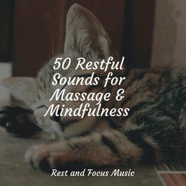 Album cover of 50 Restful Sounds for Massage & Mindfulness