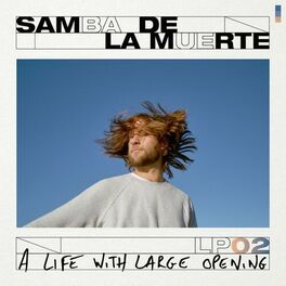 Album cover of A Life with Large Opening