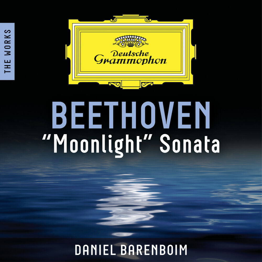 Бетховен соната номер 5. Beethoven Moonlight Sonata. Ludwig van Beethoven ~ Piano Sonata no. 14 in c-Sharp Minor, op. 27 No. 2 "Moonlight": III. Presto Agitato.