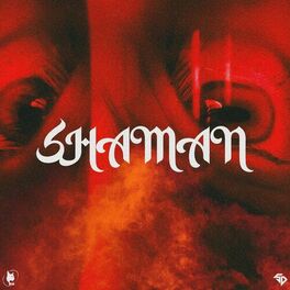 Album cover of Shaman