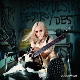 Album cover of DestroyDestroyDestroyDestroy