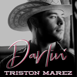 Album cover of Darlin' - single