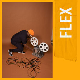 Album cover of FLEX