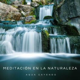 Album cover of Meditación En La Naturaleza: Agua Cayendo