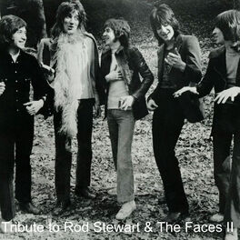 Album cover of Tribute to Rod Stewart & The Faces II