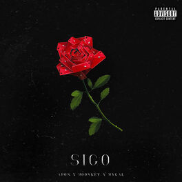 Album cover of Sigo