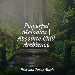 Album cover of Powerful Melodies | Absolute Chill Ambience