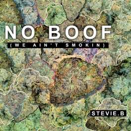Album cover of No Boof (We Ain't Smokin')