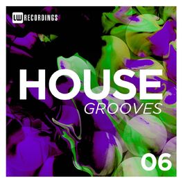 Album cover of House Grooves, Vol. 06
