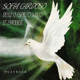 Album cover of Deixa o Espírito Santo Te Envolver (Playback)