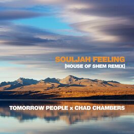 Album cover of Souljah Feeling (House of Shem Remix)