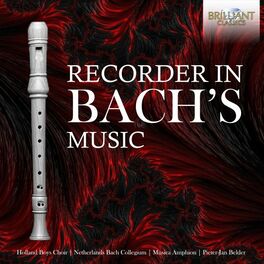 Album cover of The Recorder in Bach's Music