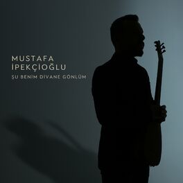 Album cover of Şu Benim Divane Gönlüm