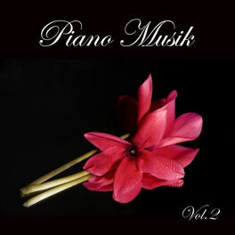 Album cover of Piano Musik Vol.2 - Entspannungsmusik Klavier, Beruhigende Klänge