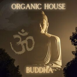 Album cover of Organic House - Buddha