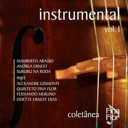 Album cover of Coletânea Fina Flor Instrumental