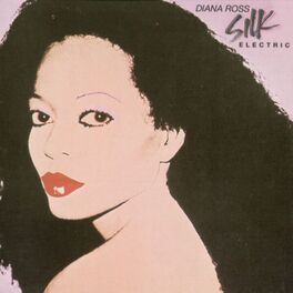 Album cover of Silk Electric
