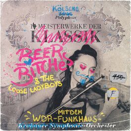 Album cover of 14 Meisterwerke der BeerBitches