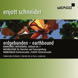 Album cover of Schneider: Erdgebunden