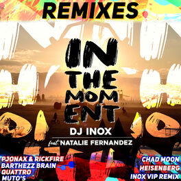 Album cover of In The Moment (Remixes)