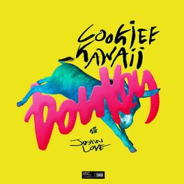 Album cover of Donkey