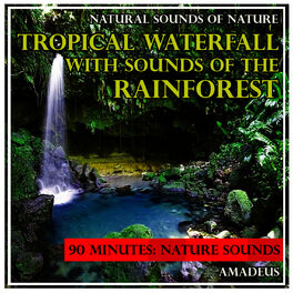 Album cover of Sounds of Nature for Study: Tropical Waterfall with the Sound of the Rainforest