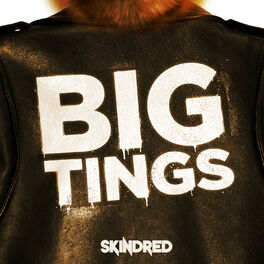 Album cover of Big Tings