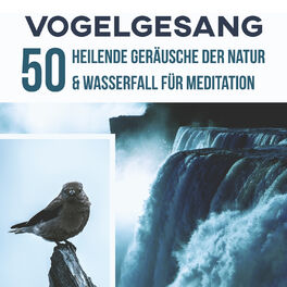 Album cover of Vogelgesang: 50 Heilende Geräusche der Natur & Wasserfall für Meditation, Yoga mit Anti-Stress-Musik, Gesundheitsfördernde Entspan