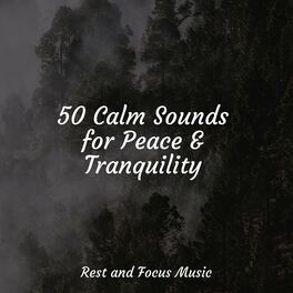 Album cover of 50 Calm Sounds for Peace & Tranquility