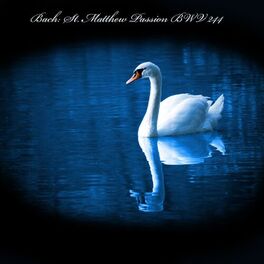 Album cover of Bach: St. Matthew Passion BWV 244