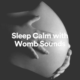 Album cover of Sleep Calm with Womb Sounds