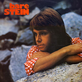 Album cover of Bare Stein