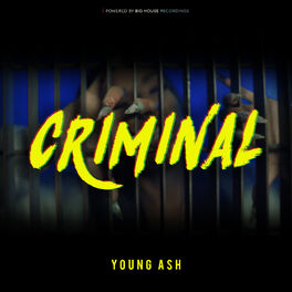 Album cover of Criminal
